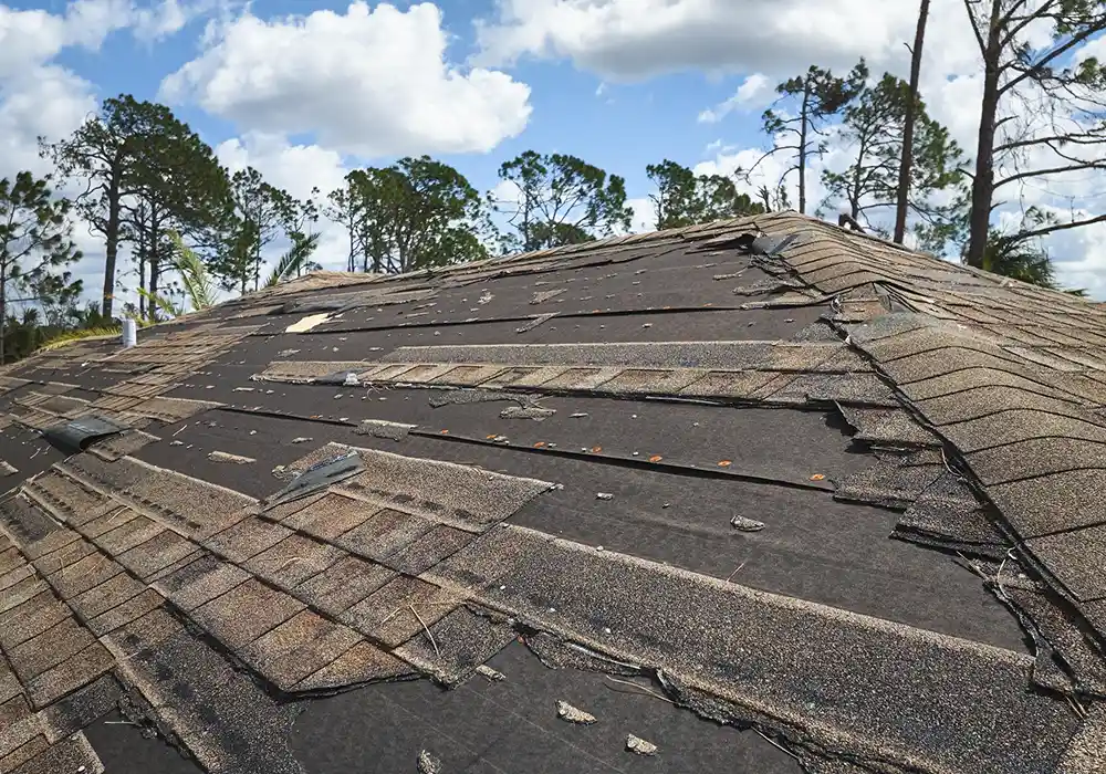 Read more about the article How to find and fix roof leaks: A Complete Guide